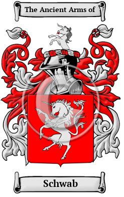 fchaab|Schaab Surname Meaning & Schaab Family History at .